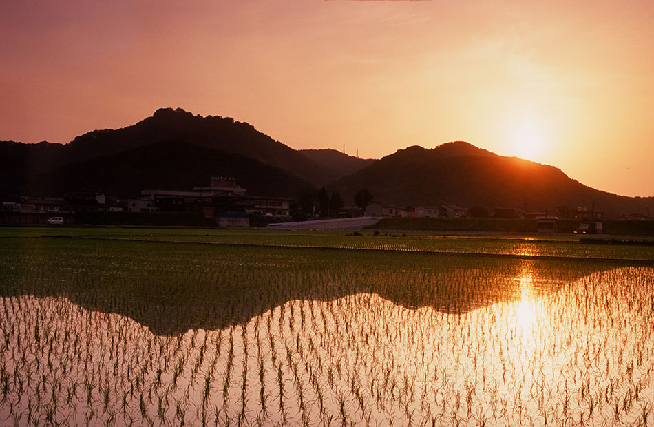 霊山 二上山