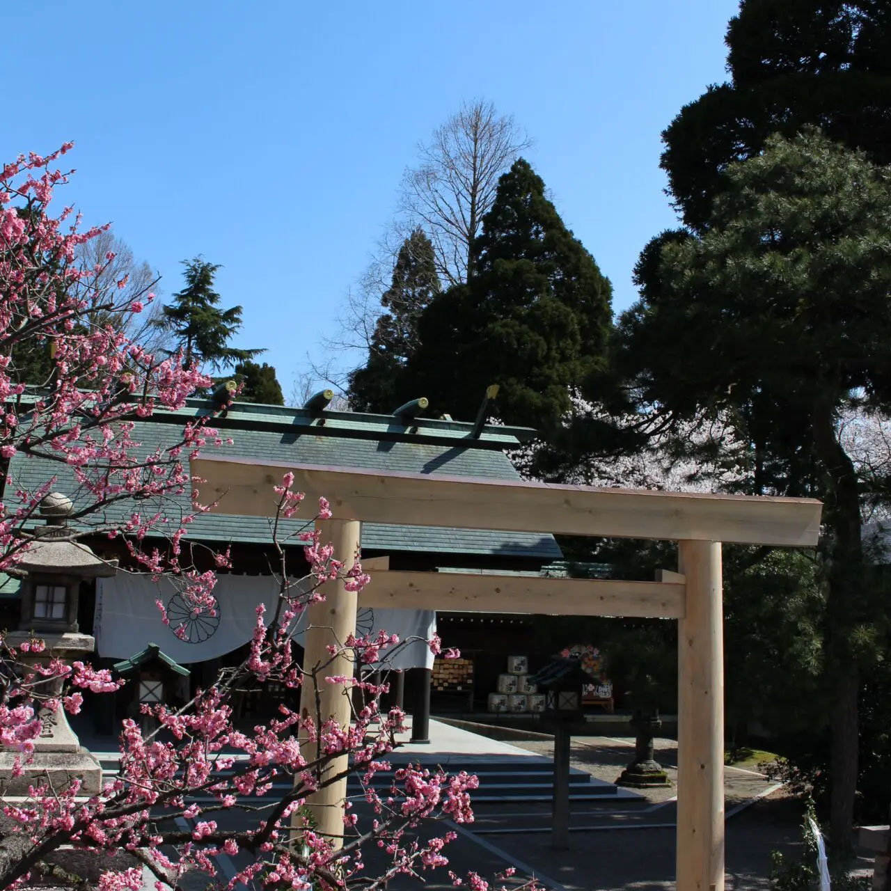 射水神社【公式】
