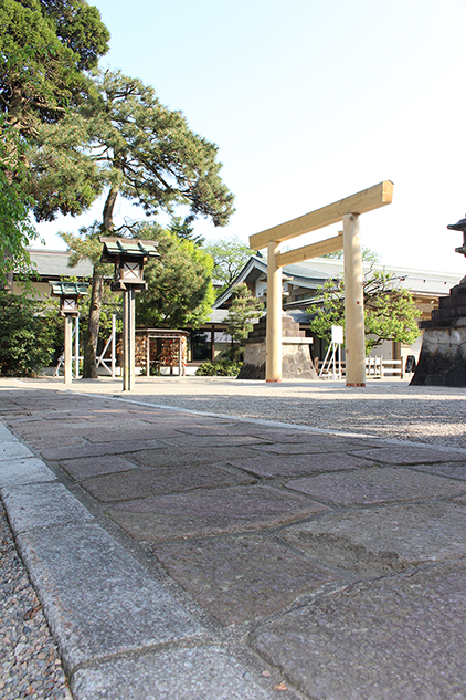 亀甲石と飛鶴松