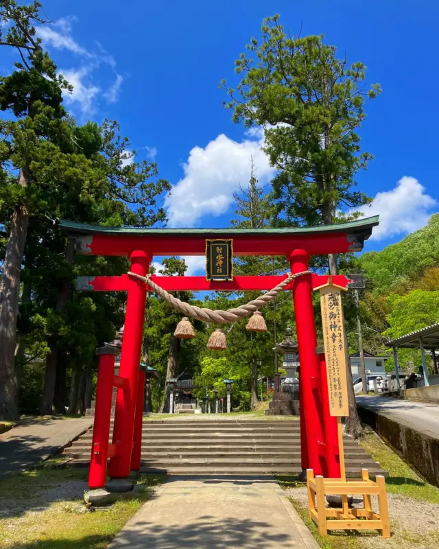 桜に包まれた“椿山” 高岡市護国神社が鎮座される高岡古城公園の